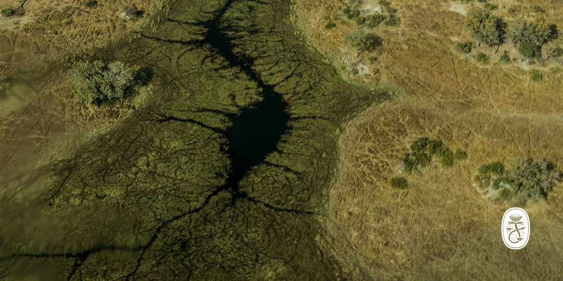 Spirit of the Okavango Delta