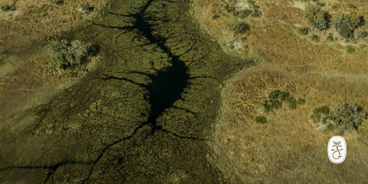 Spirit of the Okavango Delta