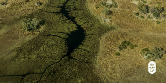 Spirit of the Okavango Delta