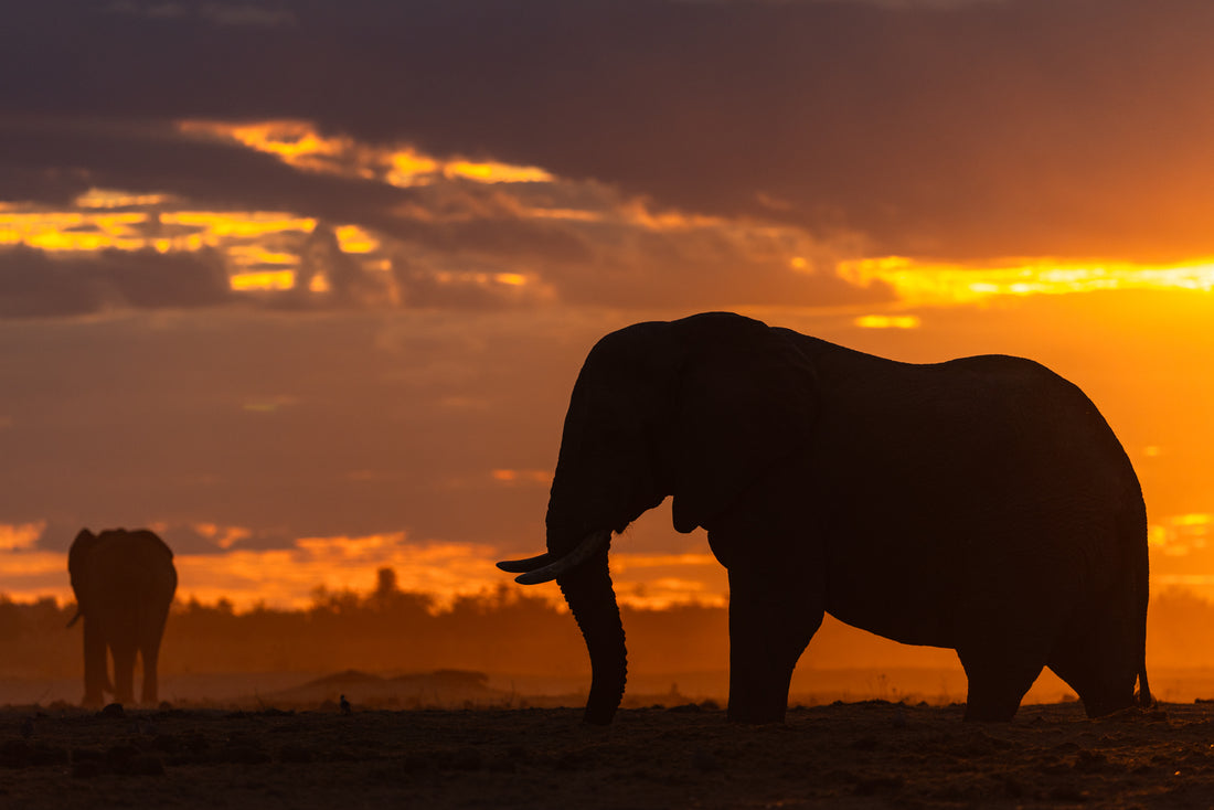Sundowner Ritual
