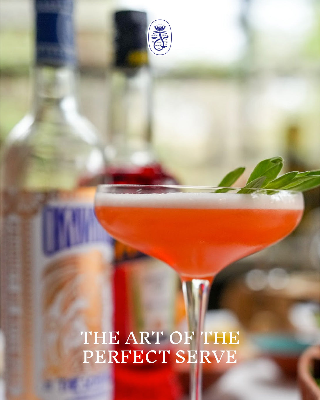 THE ART OF THE PERFECT SERVE
