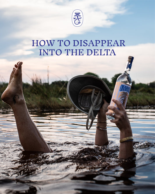 HOW TO DISAPPEAR INTO THE DELTA