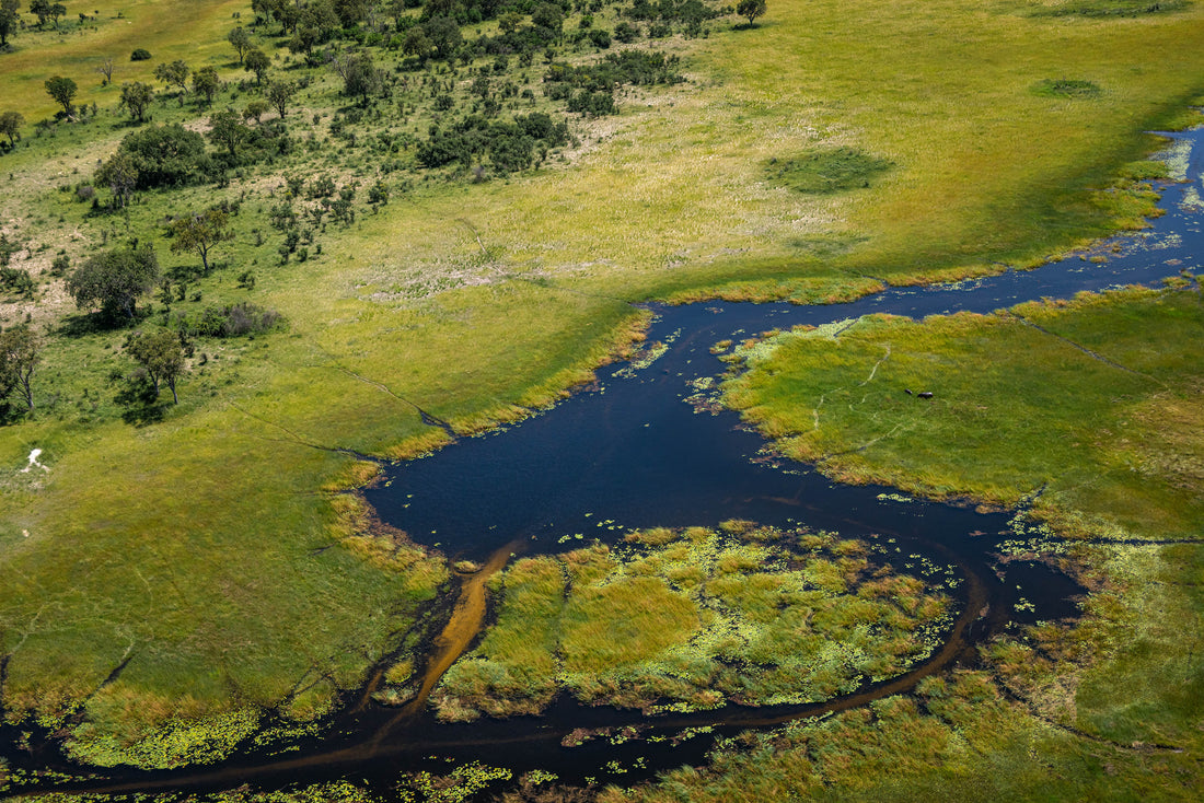 Waters of Okavango Delta