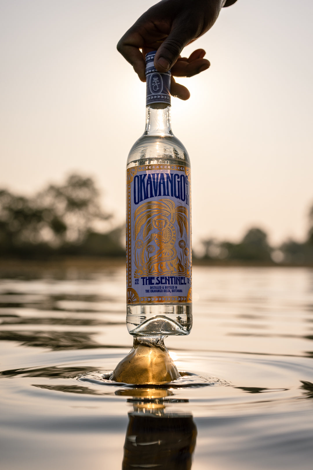 The waters that shape our gin